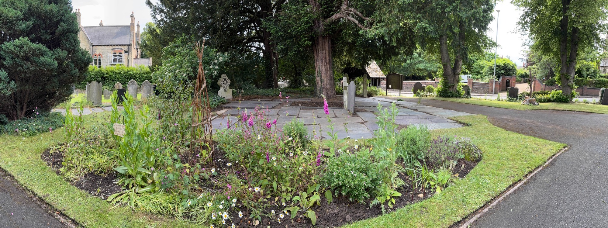 Our nature garden for bees and butterflies
